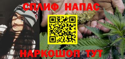 МДПВ Будённовск